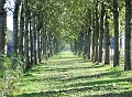 Autumn Lights